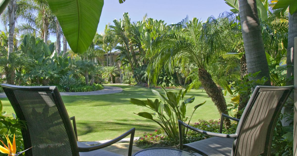 Tropical Courtyard at The Dana, lush greenery for serene meetings and events.