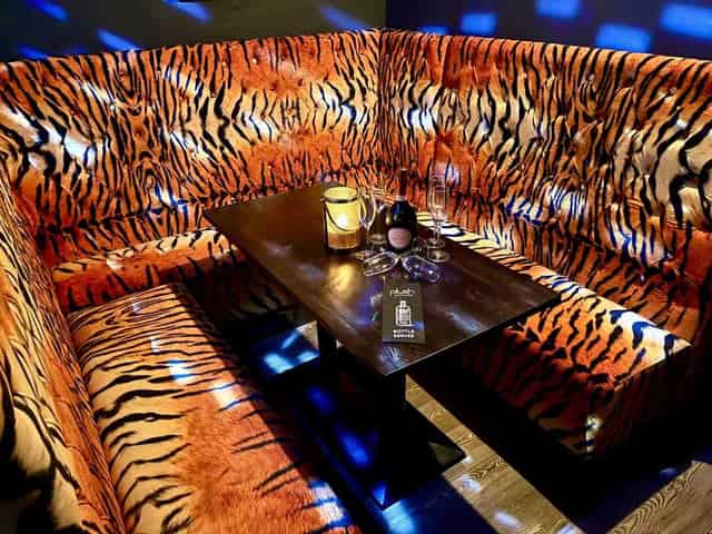 VIP area