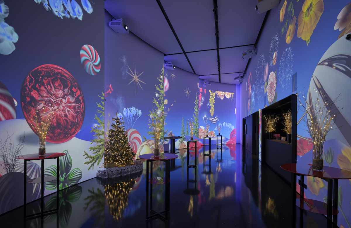    Gallery and Screening Room  - y20f4lacgvu.jpg