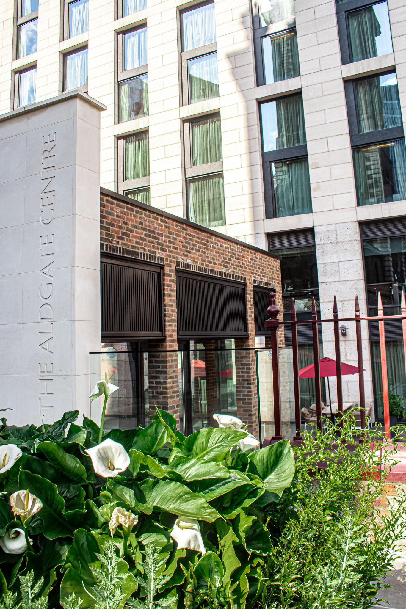 The Room - 2lv51jqnr2y.jpg