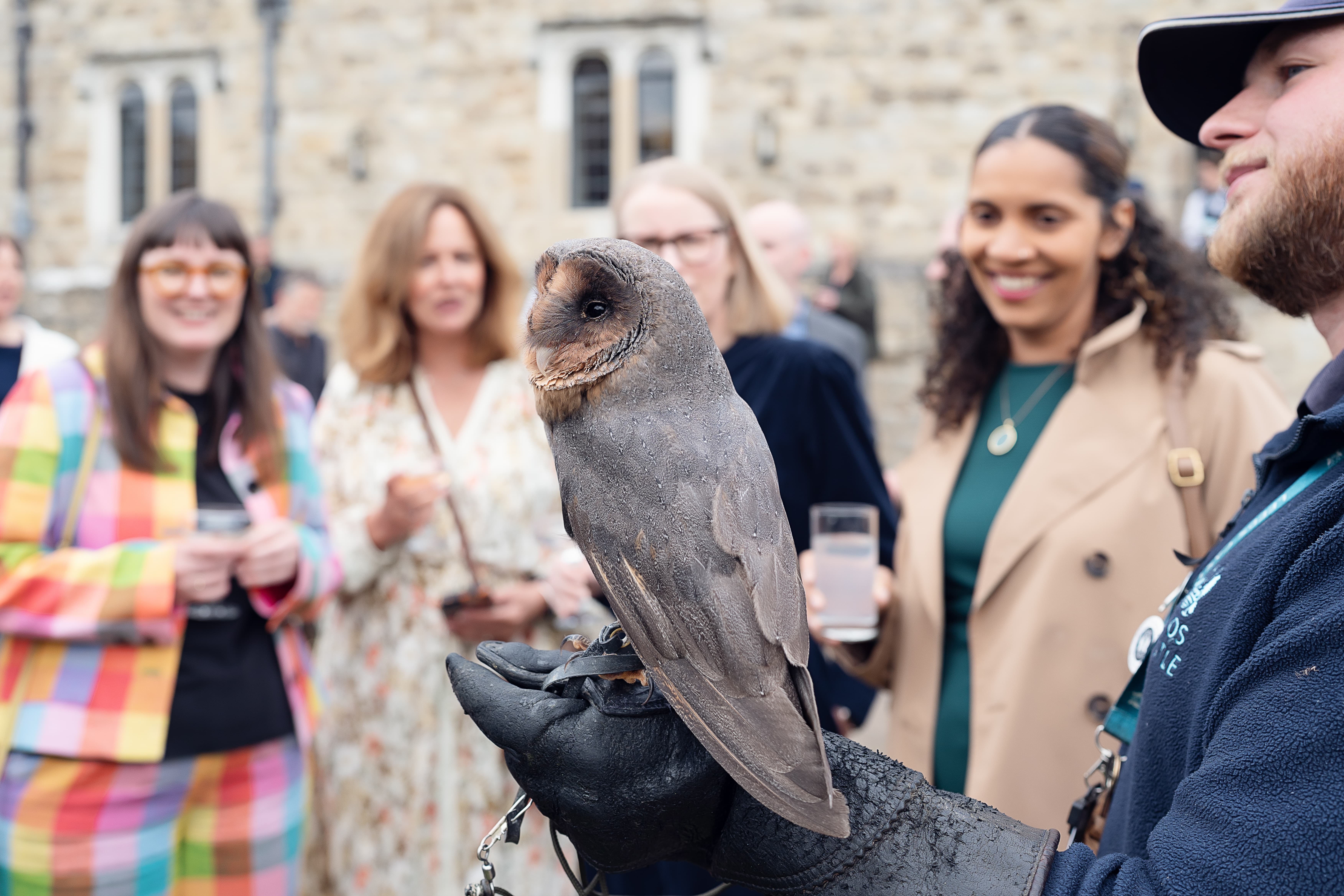 Leeds Castle - image 6