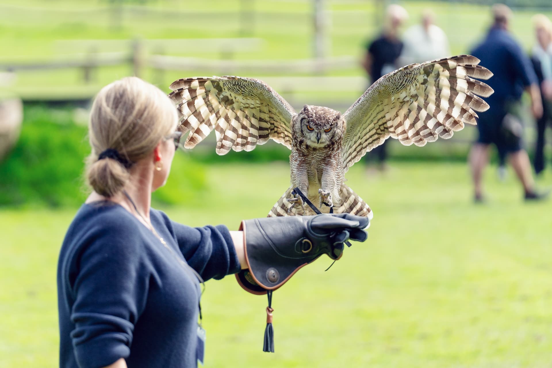 Team-building activity at Fairfax Barn, Leeds Castle for corporate events.