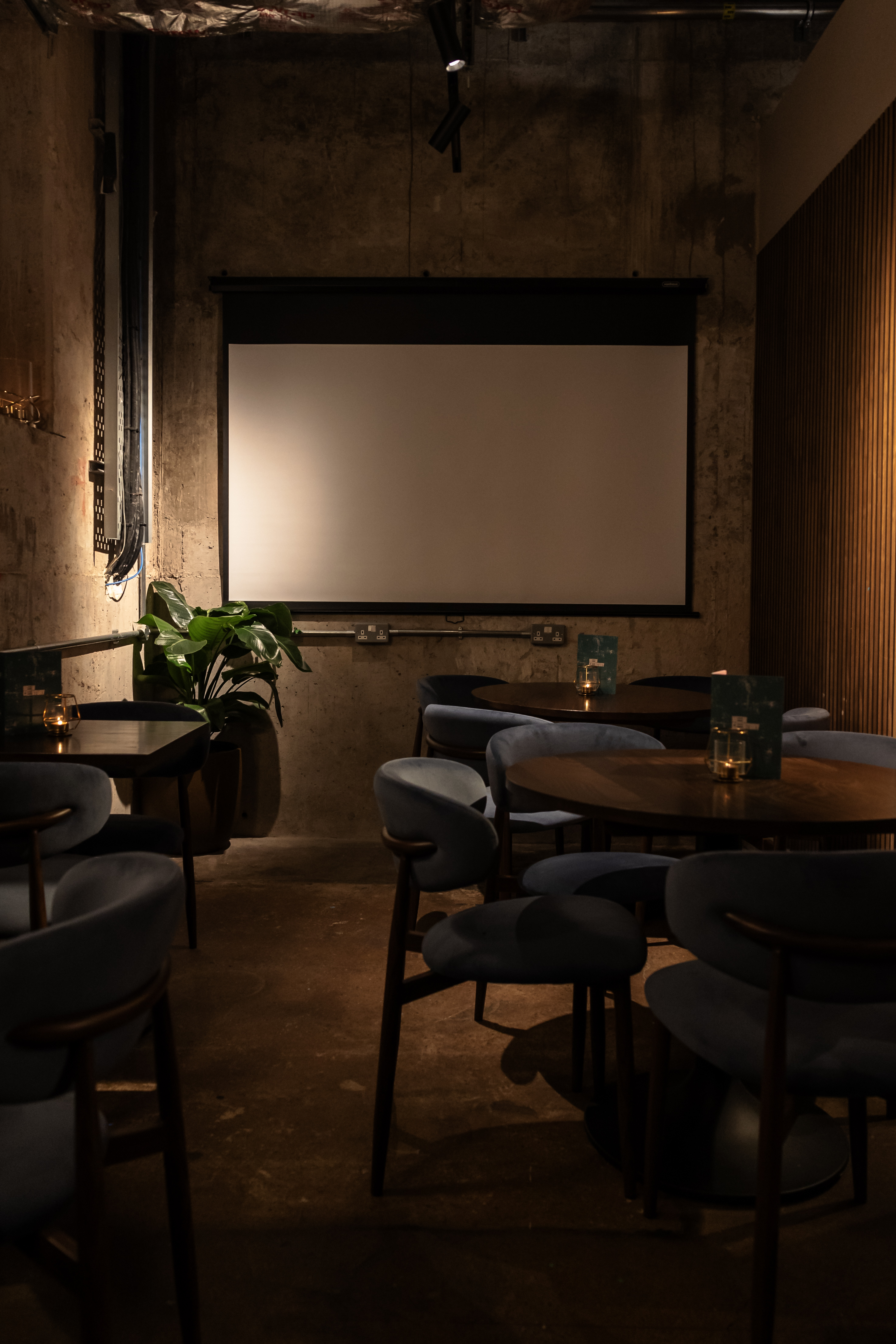 New Century Kitchen  - c7839f82-7420-454f-add6-1949c9d1e8a8.jpg