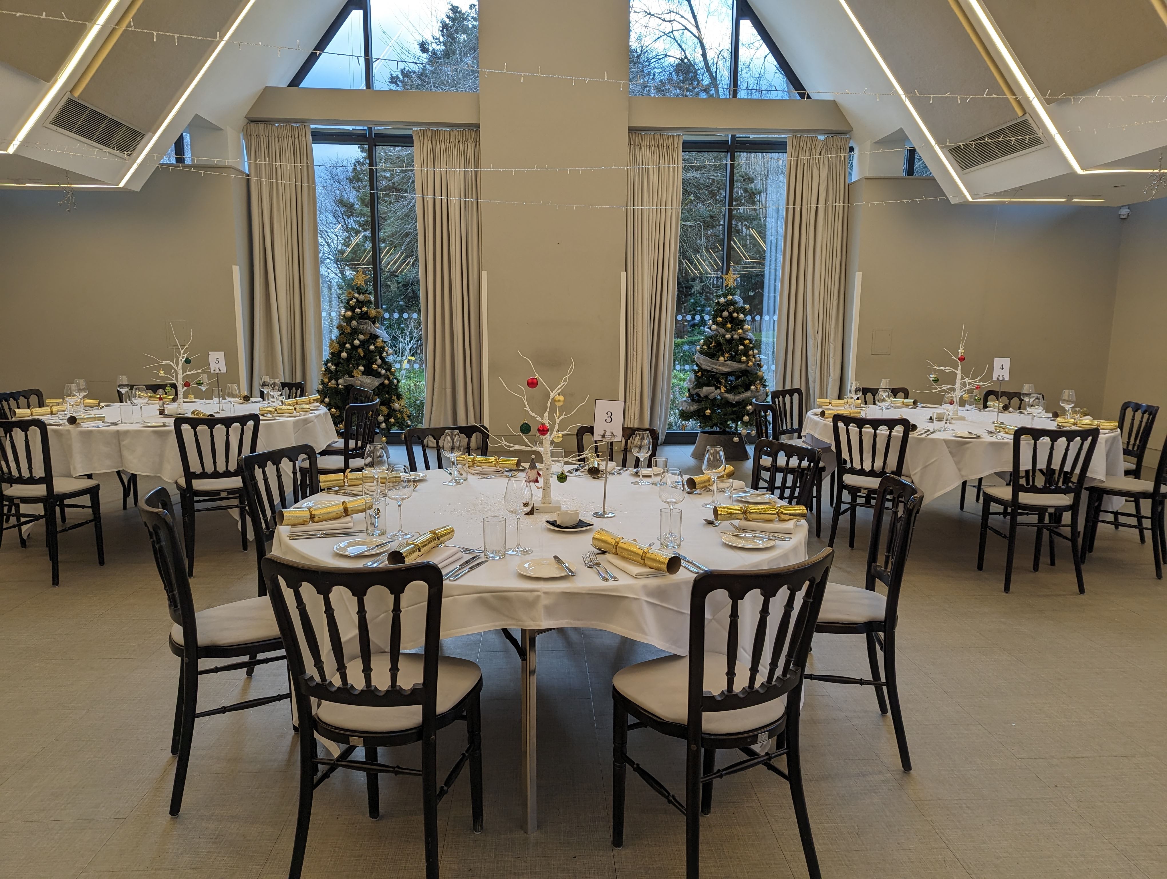 Lloyd Suite - yjhd1udhtok.jpg