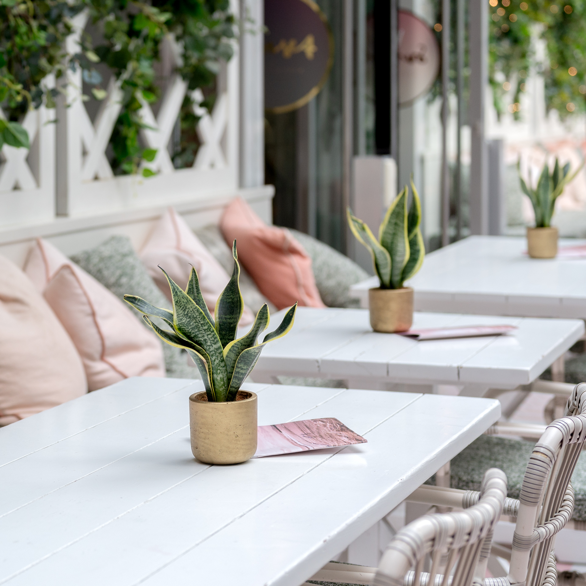 Stylish event space with potted plants, ideal for networking and casual meetings.