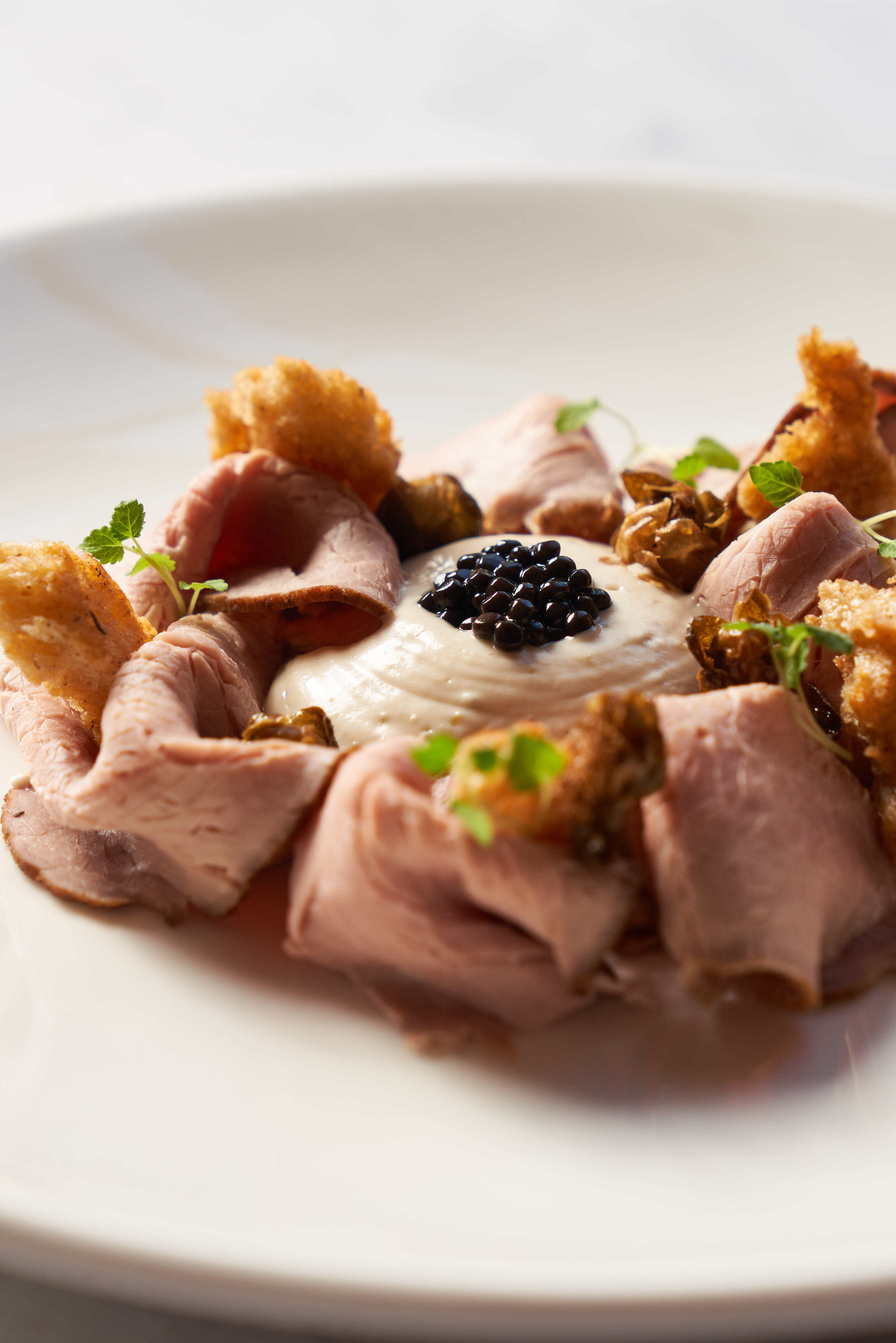 The New Court Room - 1fltmaaulxo.jpg