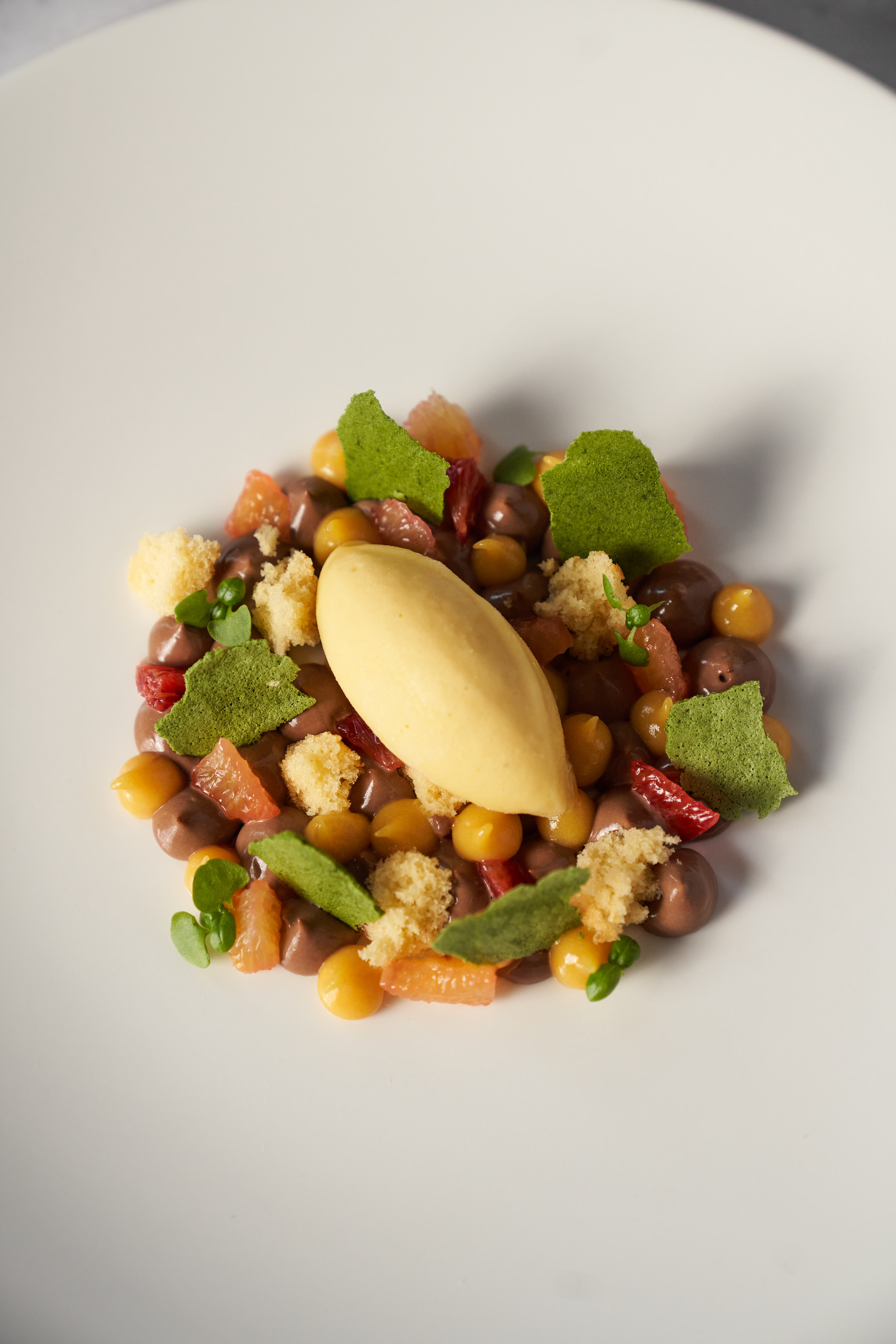 The New Court Room - 3mcfnudvwdz.jpg