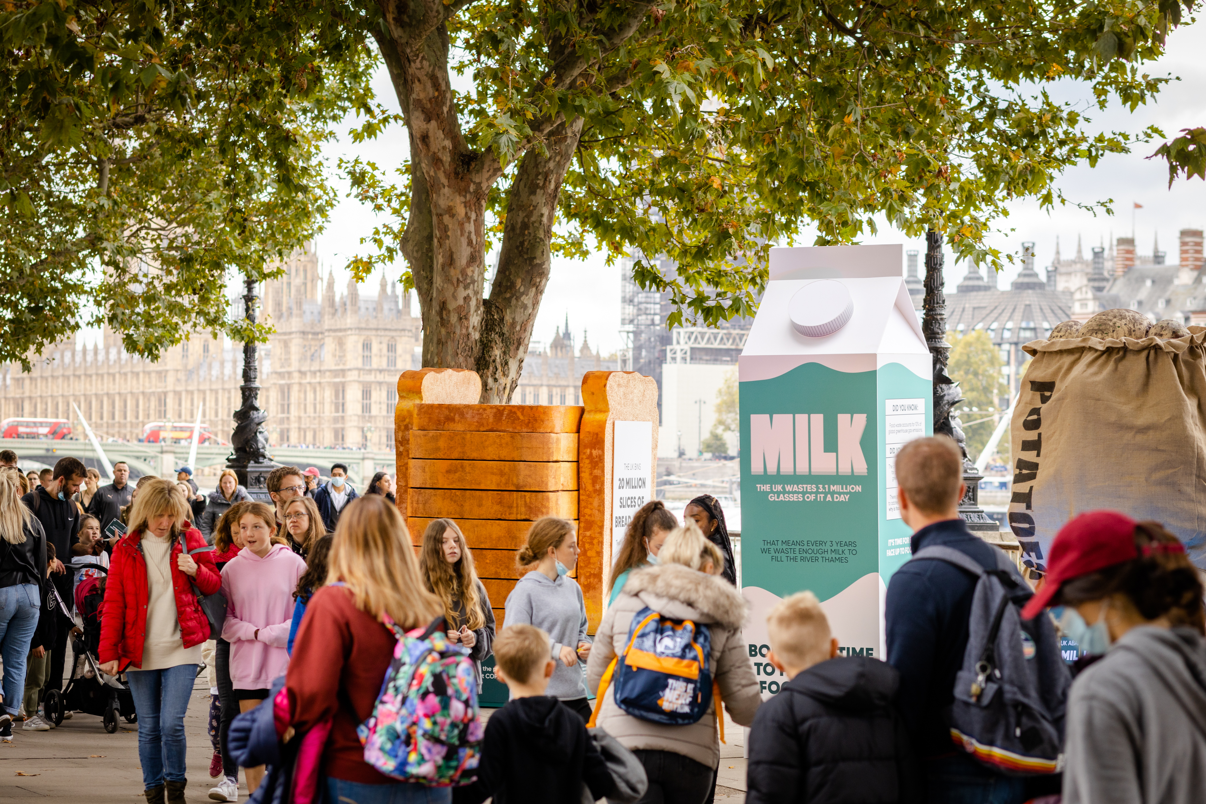 Queen's Walk - ldeksdl5o5f.jpg