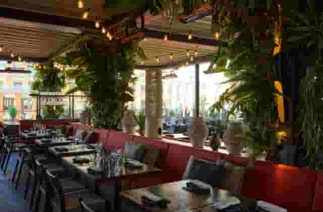 Los Mochis London City