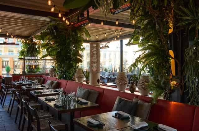 Outdoor Rooftop Terrace