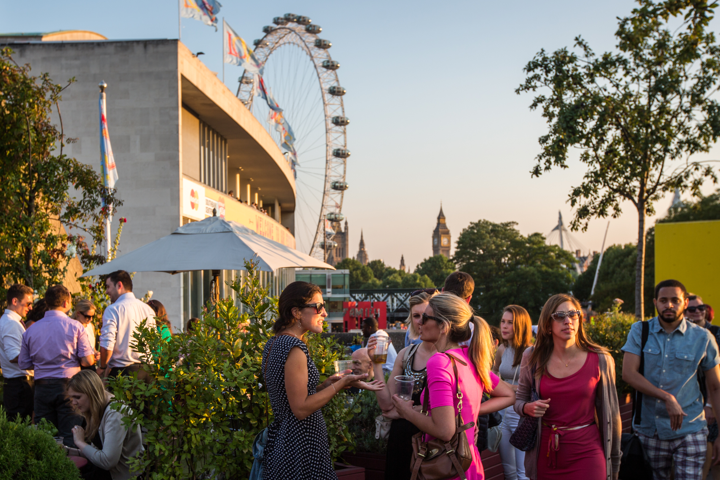 Queen Elizabeth Hall Roof Garden with London Eye, ideal for networking events and receptions.