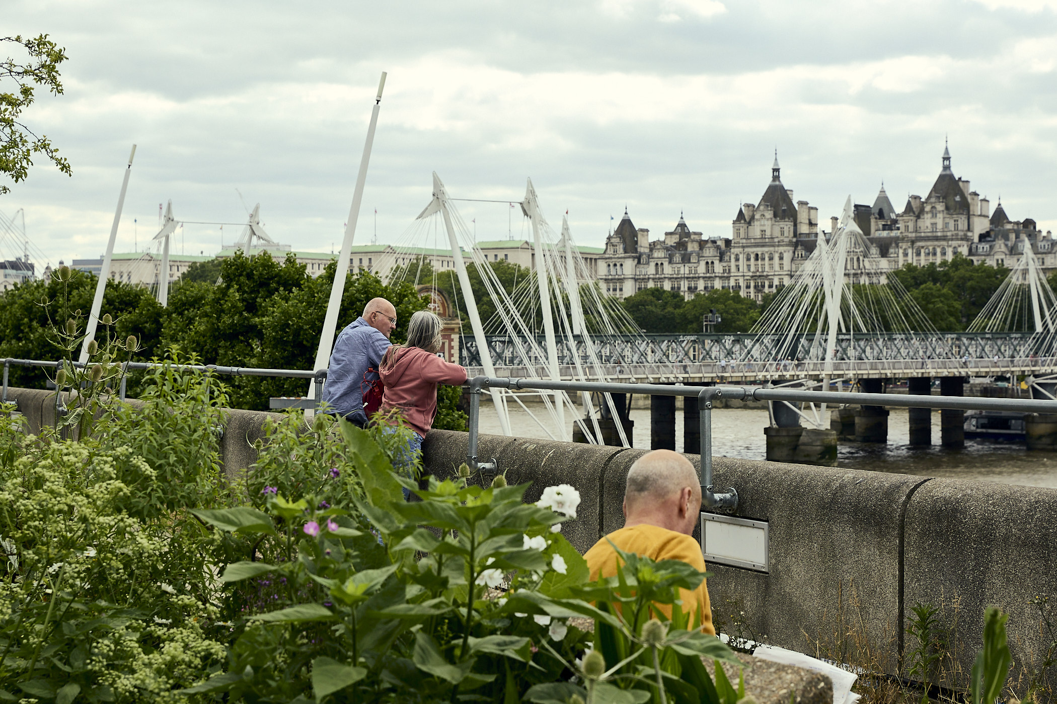 Queen Elizabeth Hall Roof Garden, serene riverside venue for outdoor networking events.