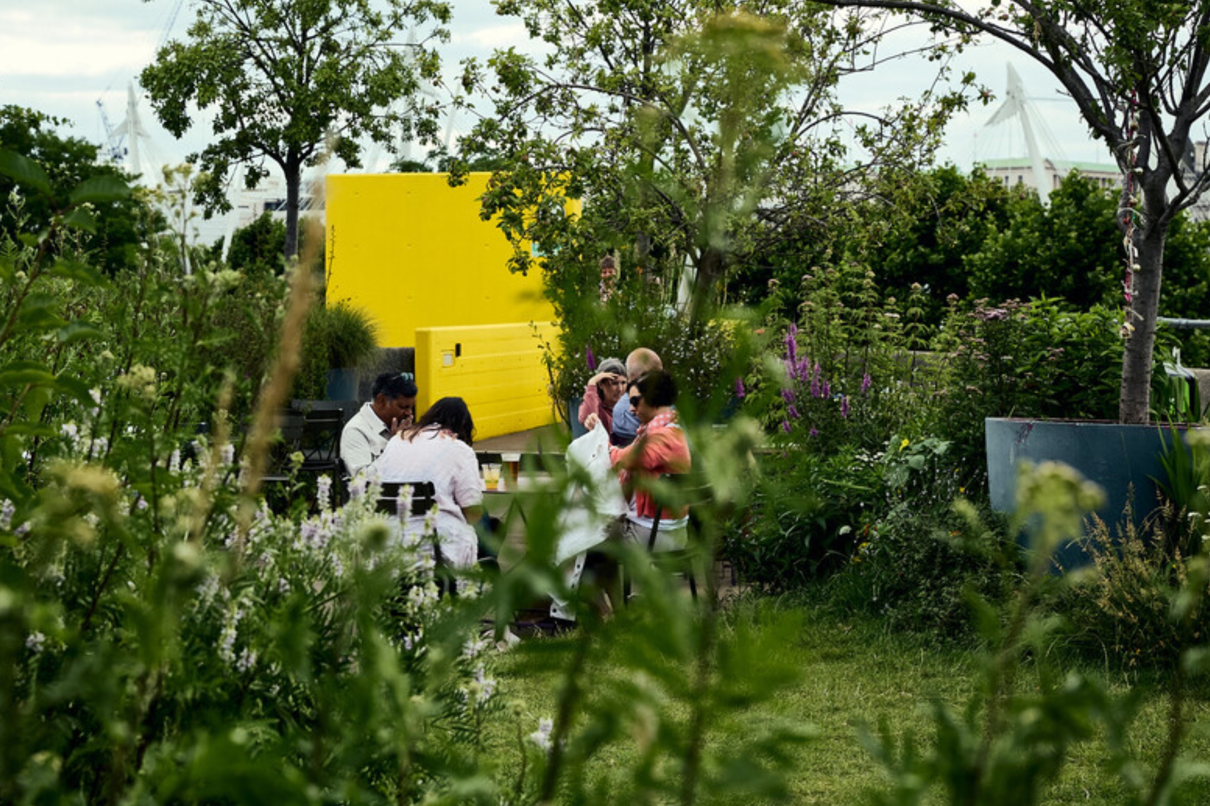 Queen Elizabeth Hall Roof Garden - 35f3g244jg4.jpg