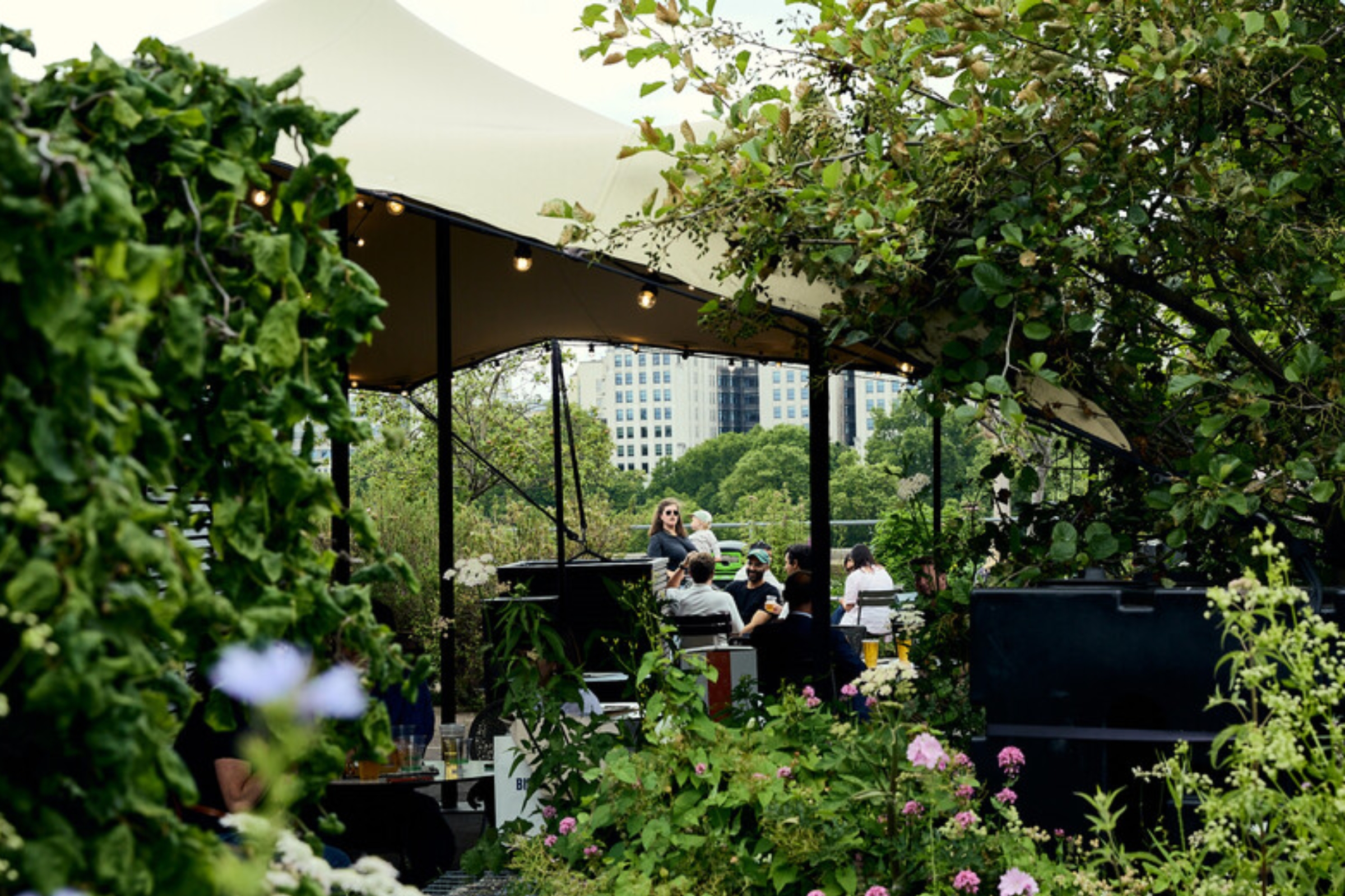 Queen Elizabeth Hall Roof Garden: vibrant outdoor event space with lush greenery, ideal for gatherings.