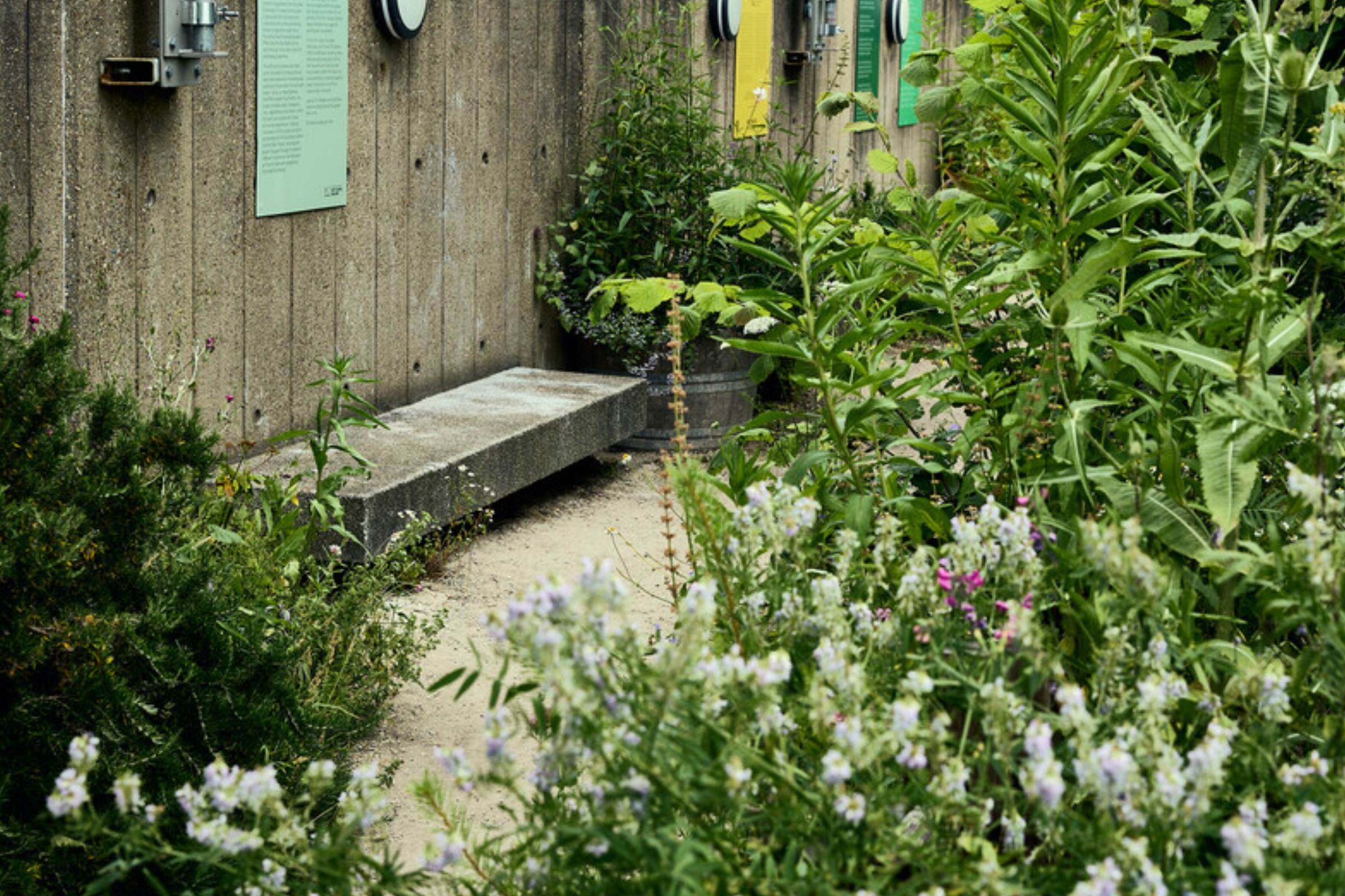 Queen Elizabeth Hall Roof Garden - re1yqgei1dl.jpg