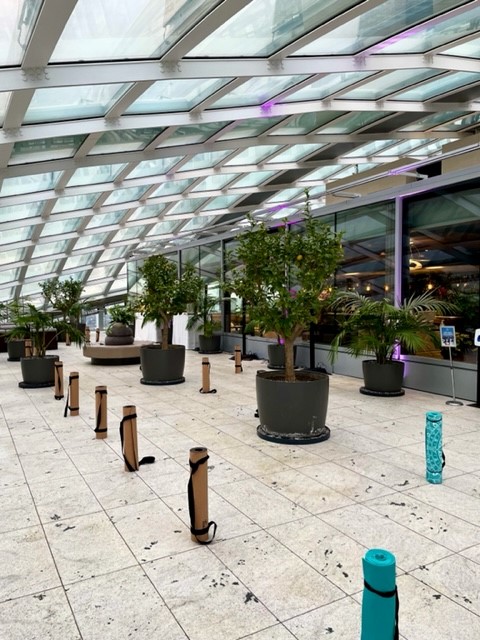 Fenchurch Terrace in Sky Garden London, modern event space with large windows and greenery.