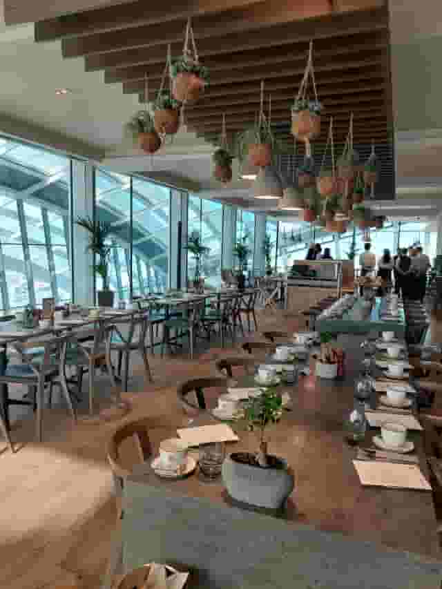 Darwin Brasserie