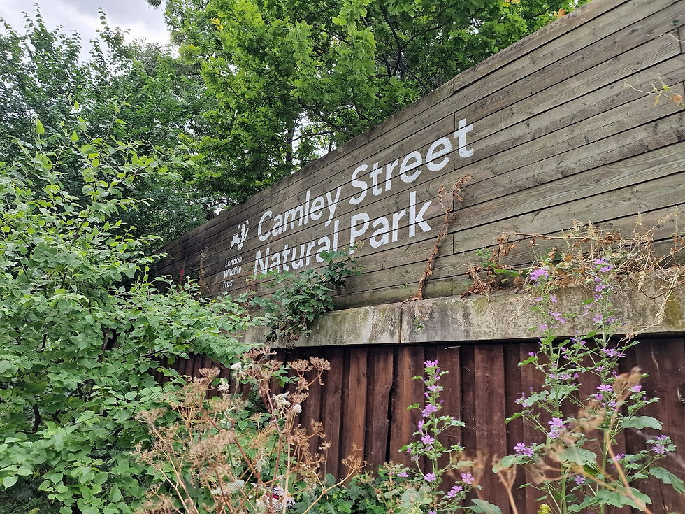 Meadow entrance at Camley Street Natural Park, ideal for outdoor events and gatherings.