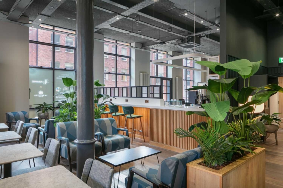 Modern coworking space with bar and greenery, ideal for networking events and meetings.