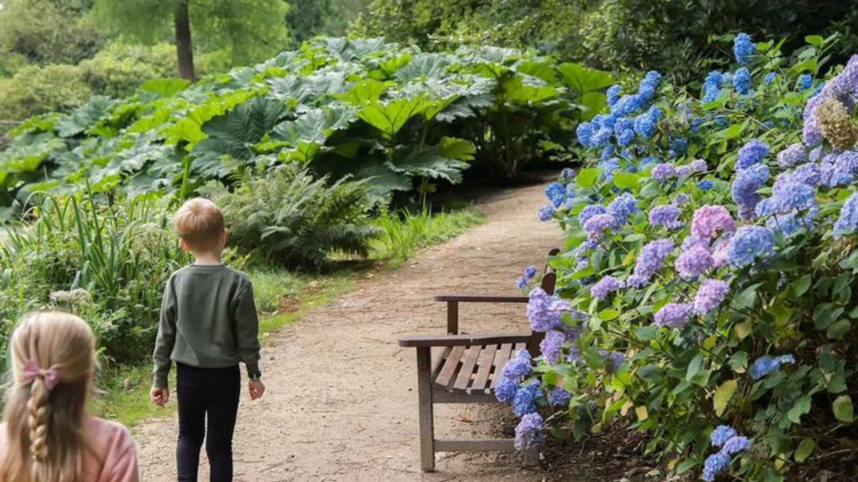Play Area in Tatton Park: serene outdoor setting with lush greenery for gatherings.