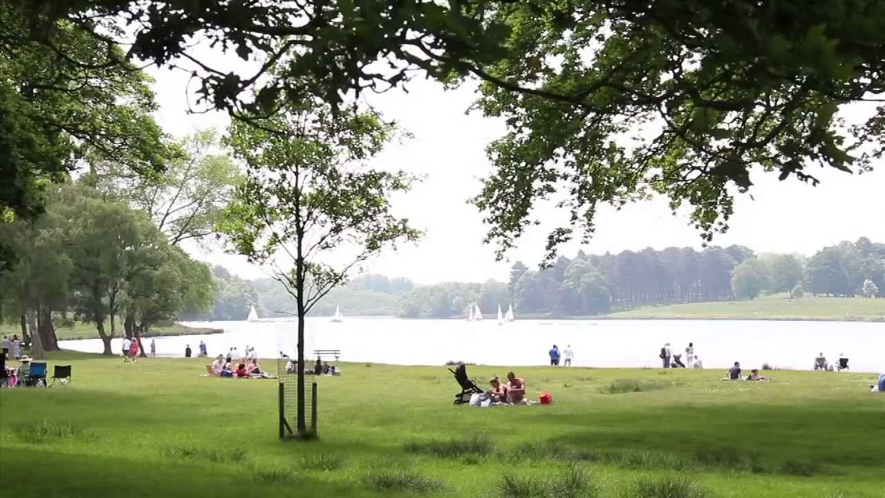 Play Area in Tatton Park with lush greenery, ideal for picnics and team-building events.