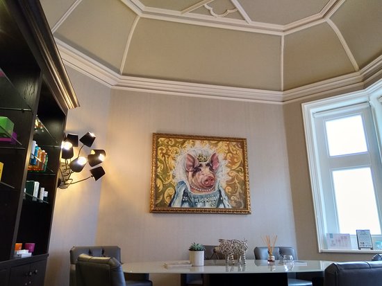 Stylish meeting space at The Stud Room Bar, featuring elegant decor and inviting atmosphere.