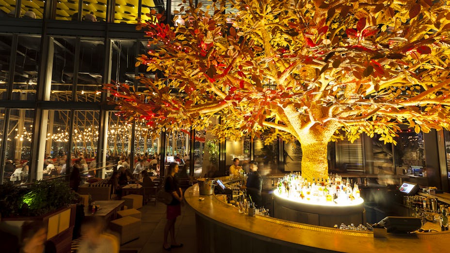 Illuminated tree centerpiece at SUSHI SAMBA, ideal for events and gatherings.