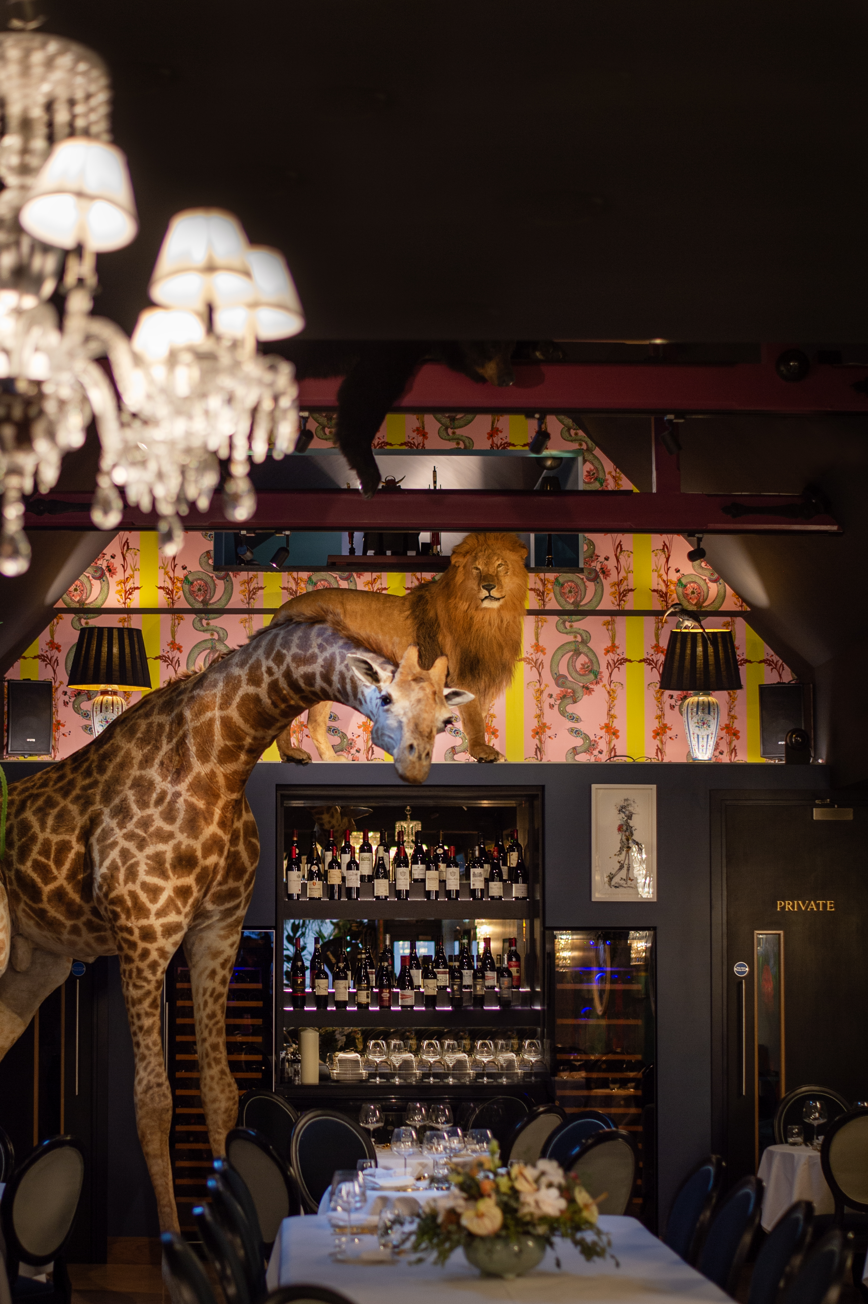 Lounge - 18b9cd01-72ec-48ee-9034-28e0af30fa19.jpg