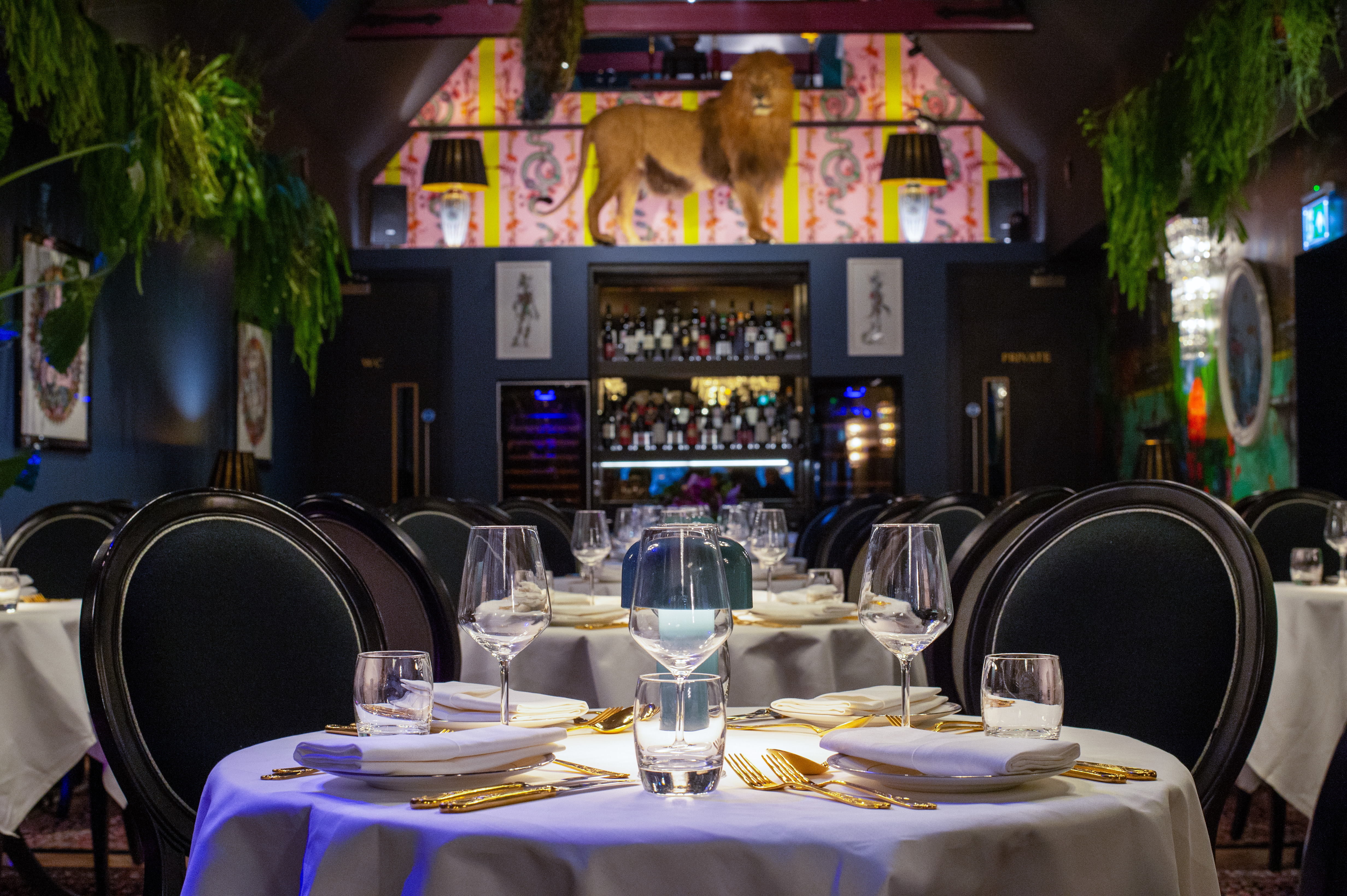 Lounge - 332da62f-44cc-491f-8f84-eb7a68eb884f.jpg