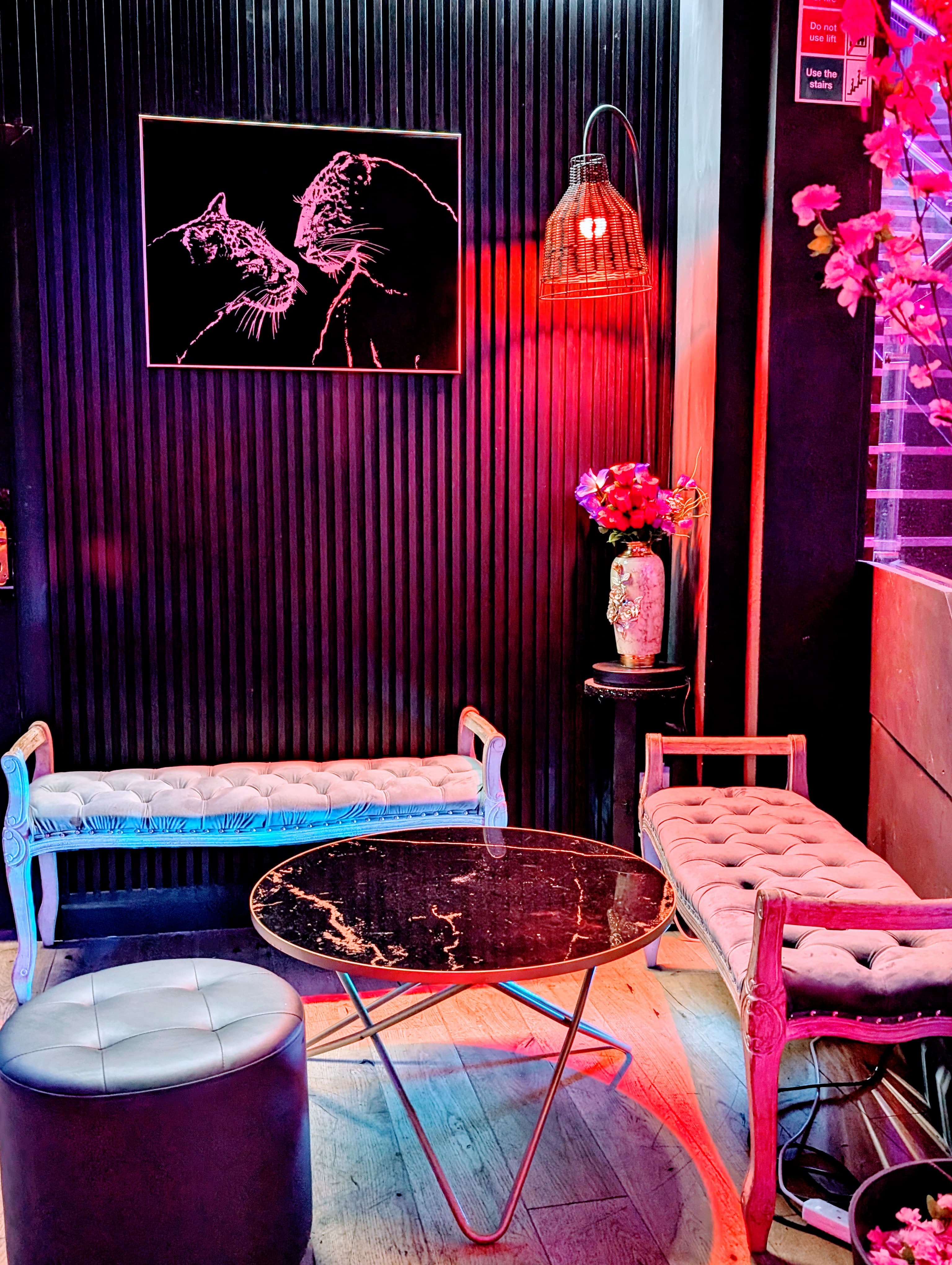 Dream Lounge - u2qzezfkqhl.jpeg