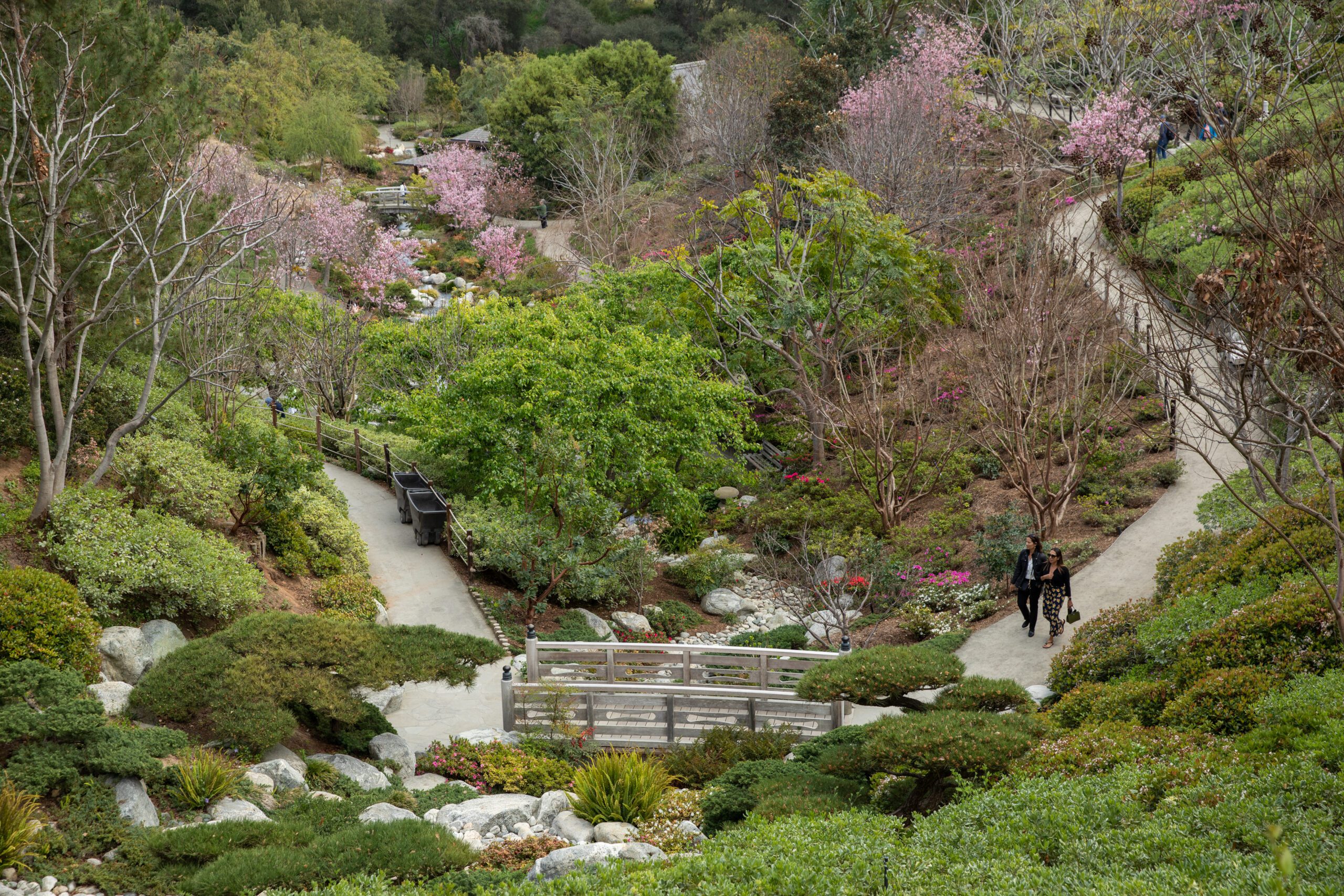 Japanese Friendship Garden with lush greenery, ideal for outdoor meetings and team-building events.