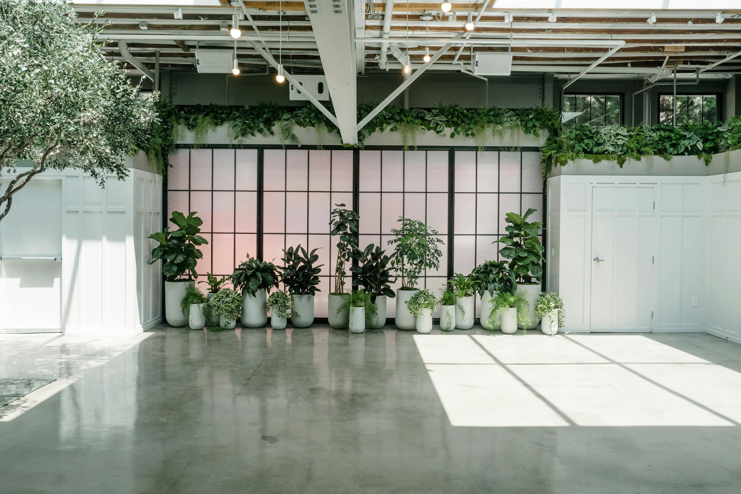 Flora | San Diego Venue | All Events ...