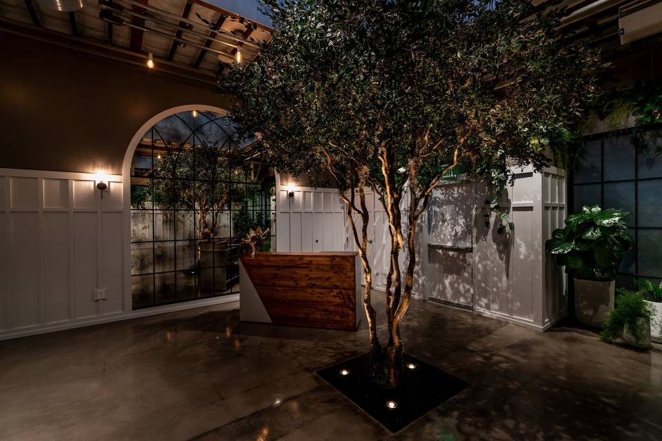 VIP Suite in Flora with central olive tree, perfect for upscale events and gatherings.