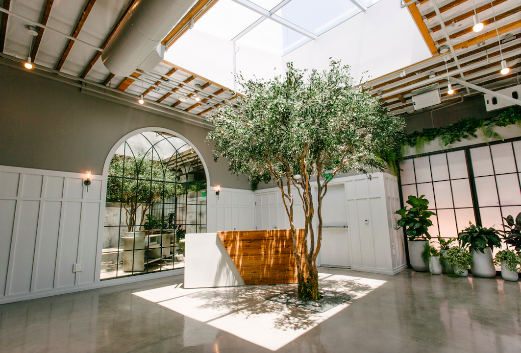 Flora | Reception Venues -