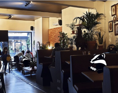 Cozy café workspace with greenery, perfect for informal meetings and small events.