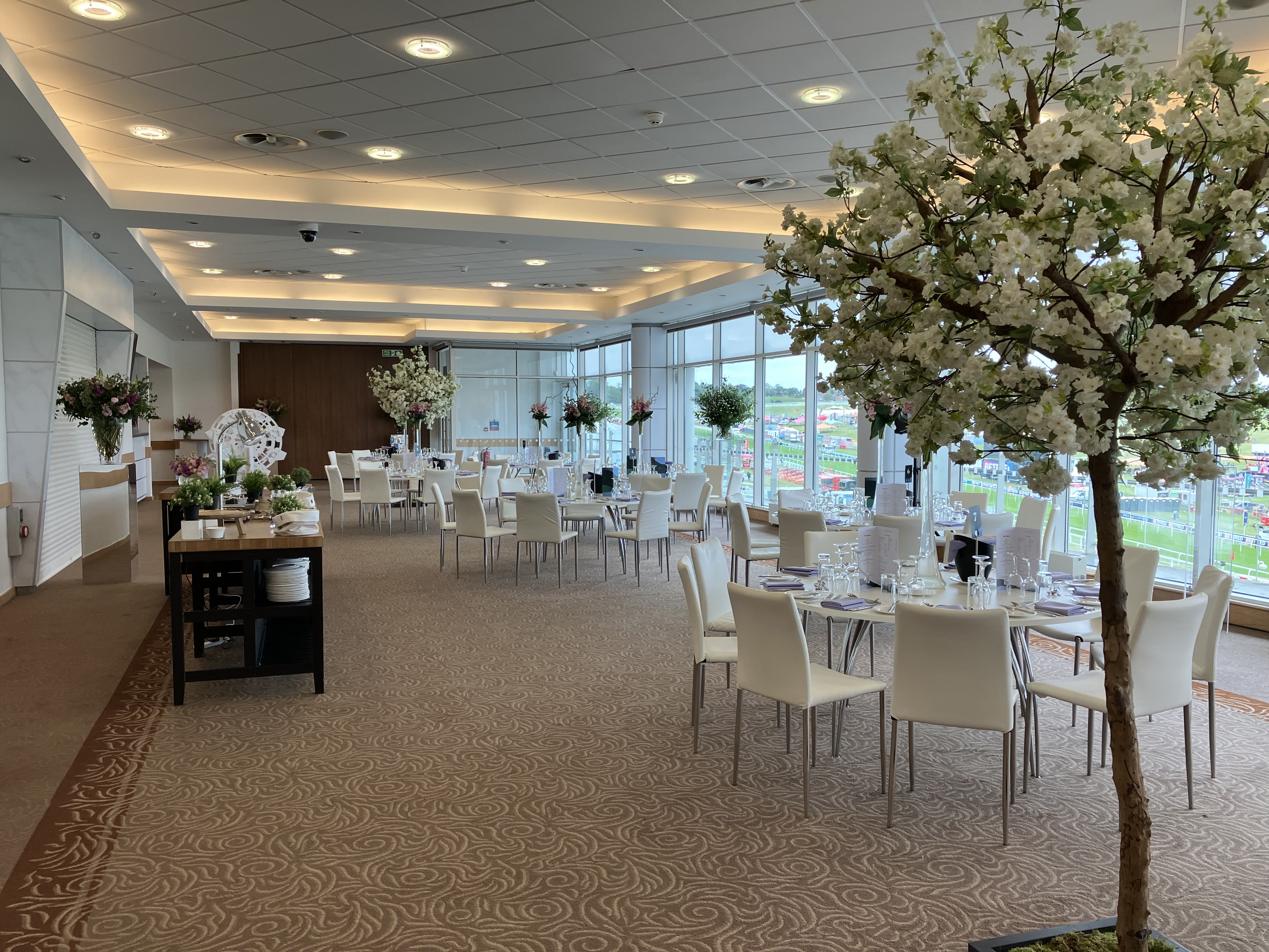 The Lammtarra Suite - qmeelf0jfsp.JPG