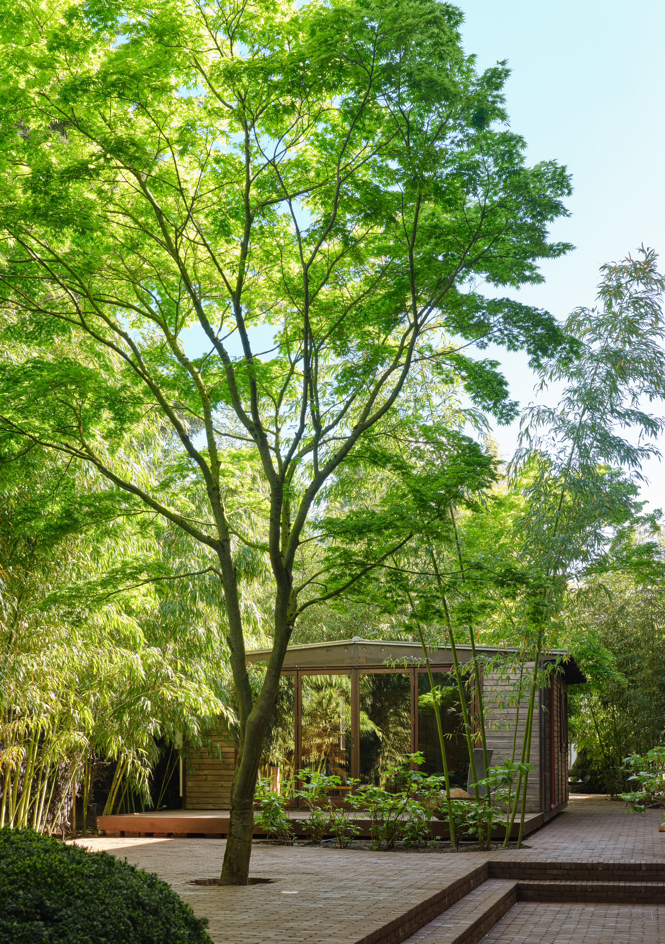 Garden - ufbve43vunb.jpg