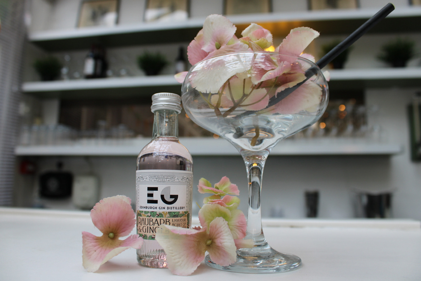 Exclusive Hire - Berrow Court - 1hgnutcy11b.JPG