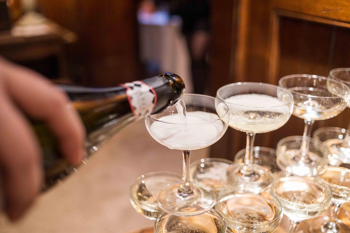 Exclusive Hire - Berrow Court - m3owpix20az.JPG