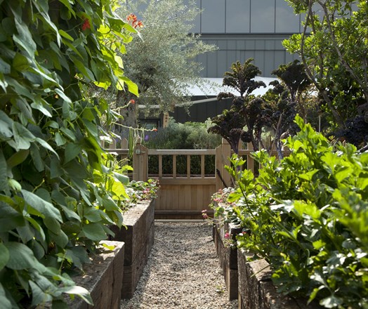 Roof Terrace at Ham Yard Hotel, lush garden pathway, ideal for outdoor events and gatherings.