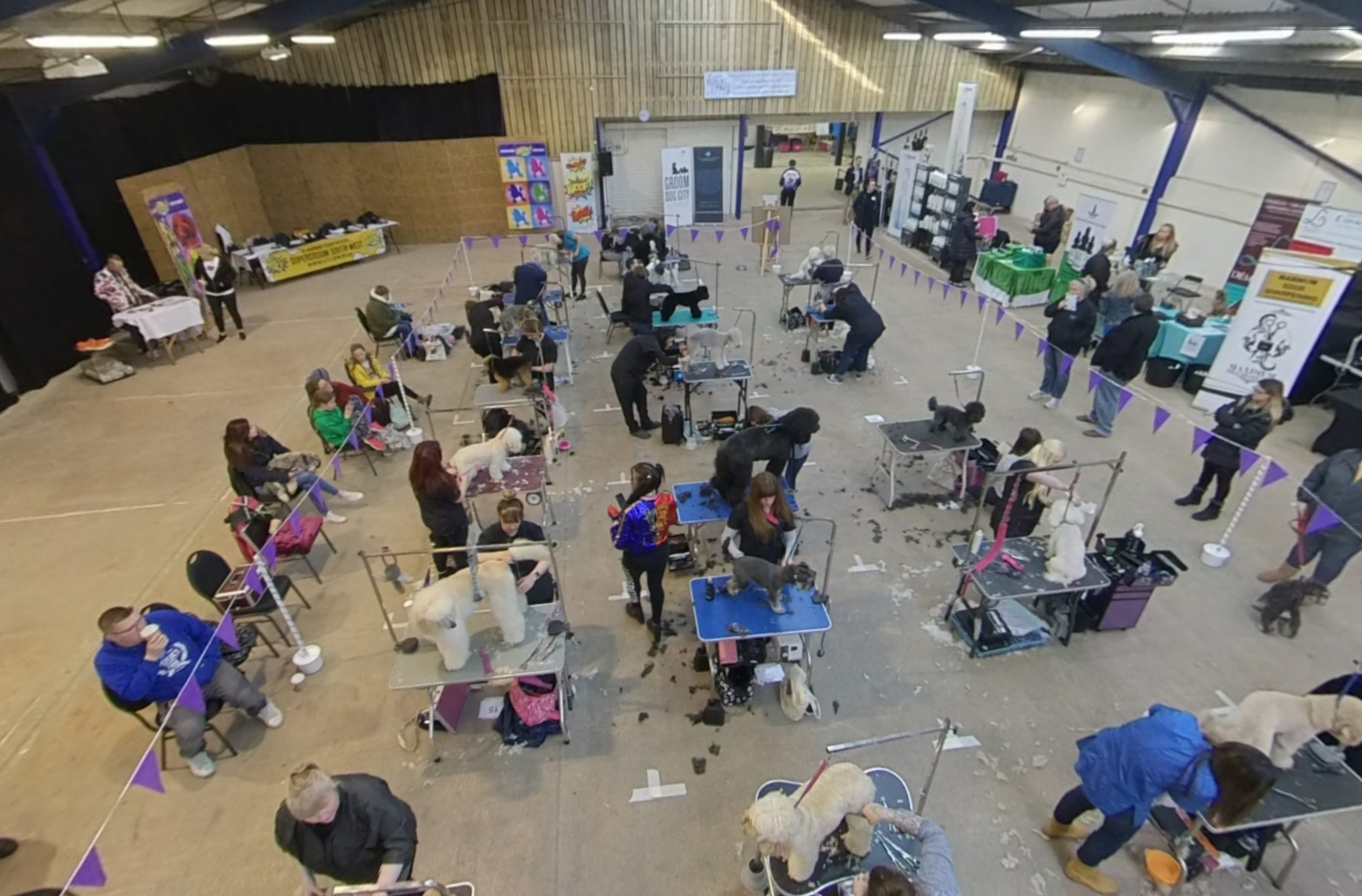 Exmoor dog show with grooming stations and vibrant community engagement.