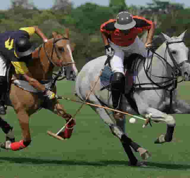 Emsworth Polo Grounds