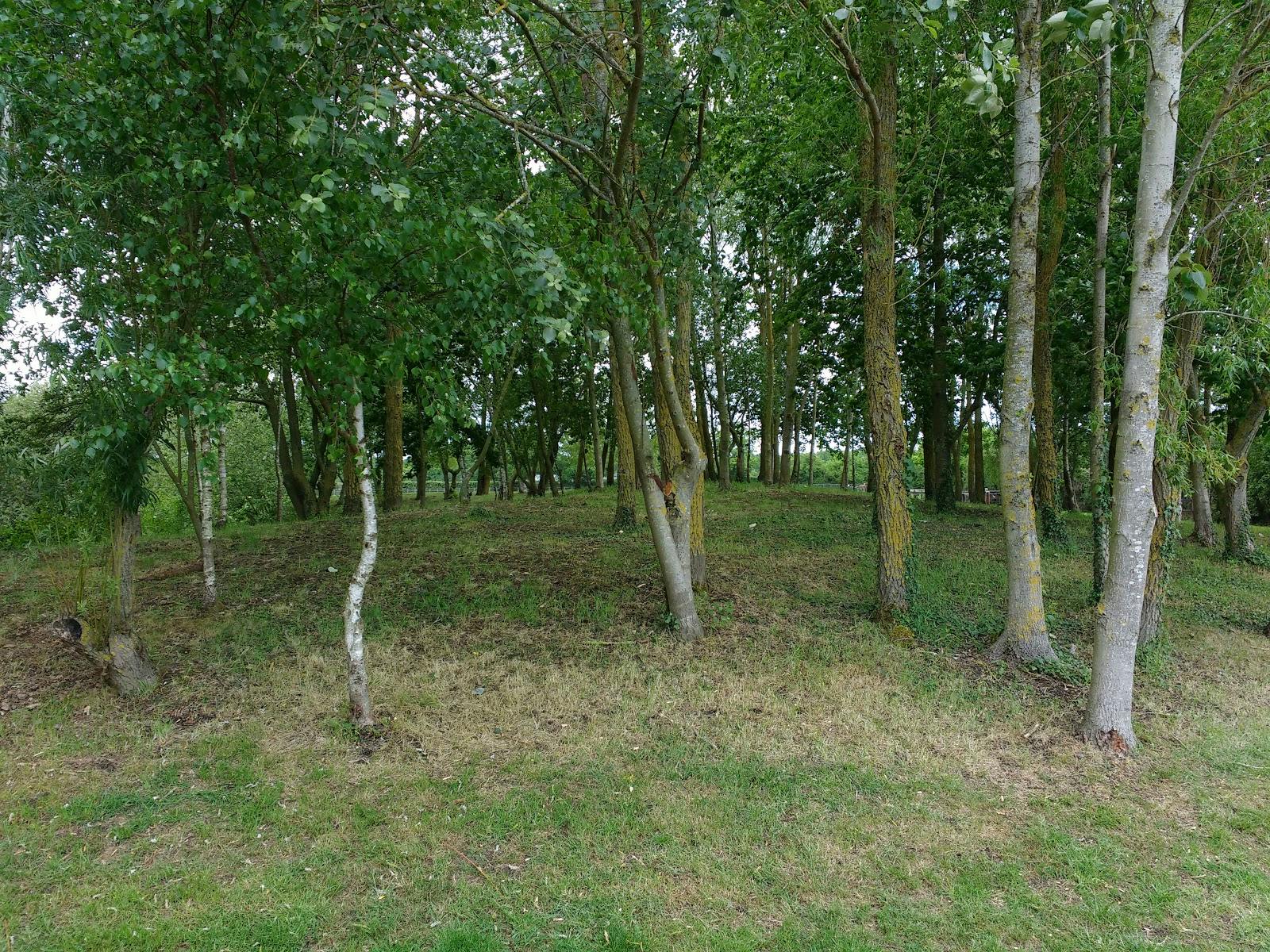 Emsworth Polo Grounds - >Martin Co</a>