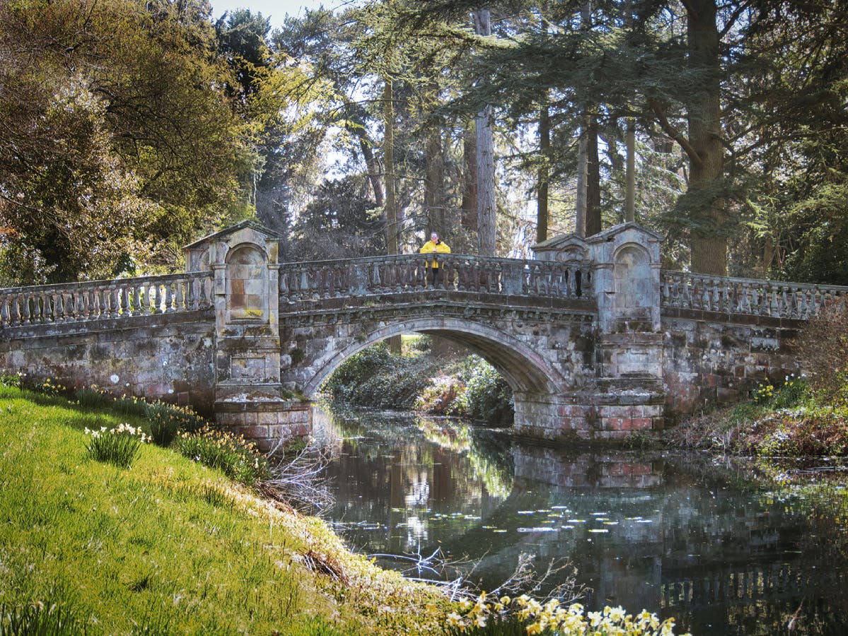 Weston park - >Henry Anderson</a>