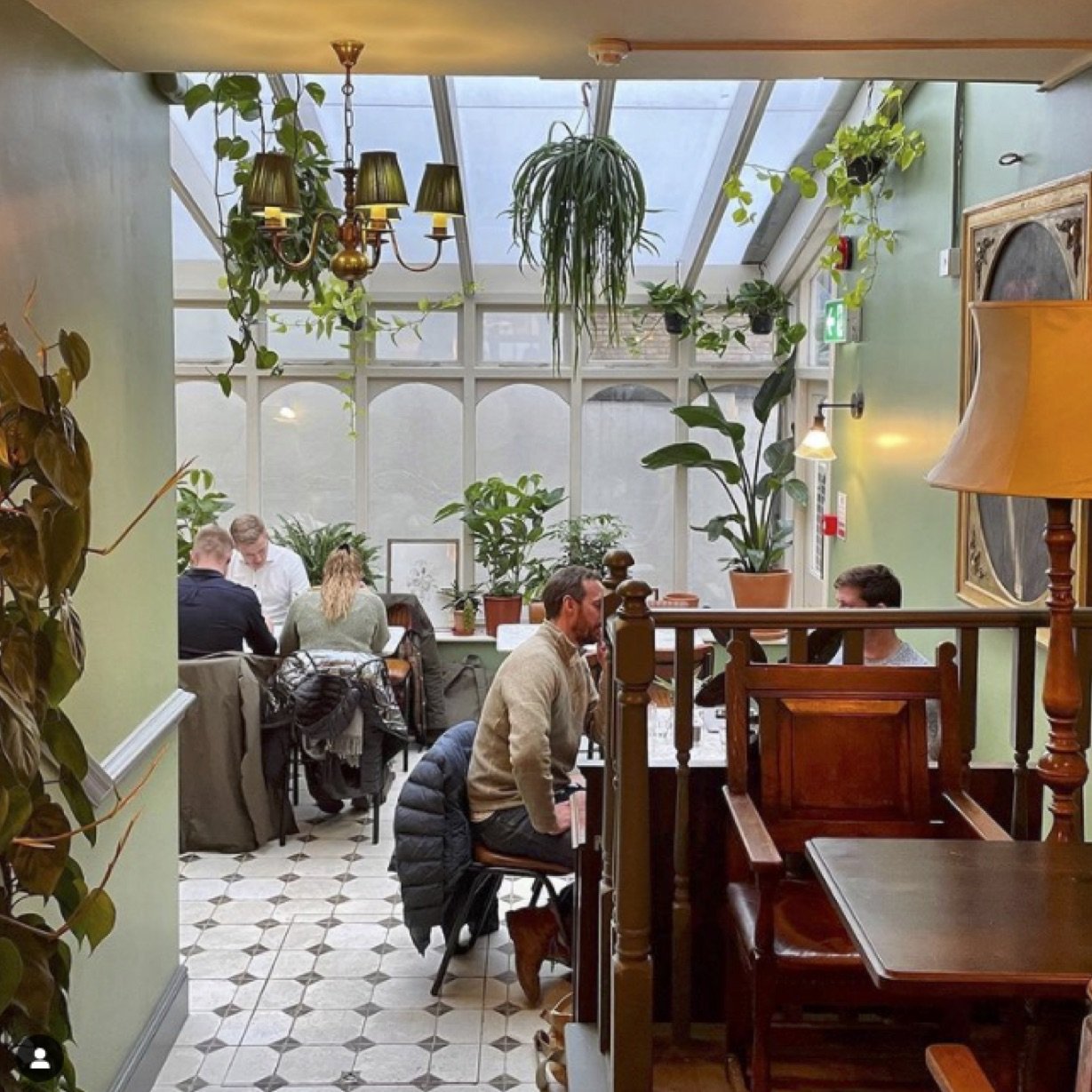 Cozy plant-filled dining room at The Wilton Arms for intimate meetings and events.