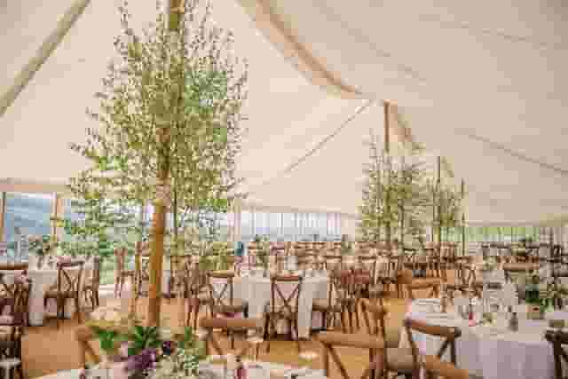 Alcott Weddings