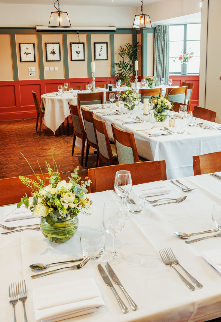 Gallery - j0l2hgnusob.jpeg