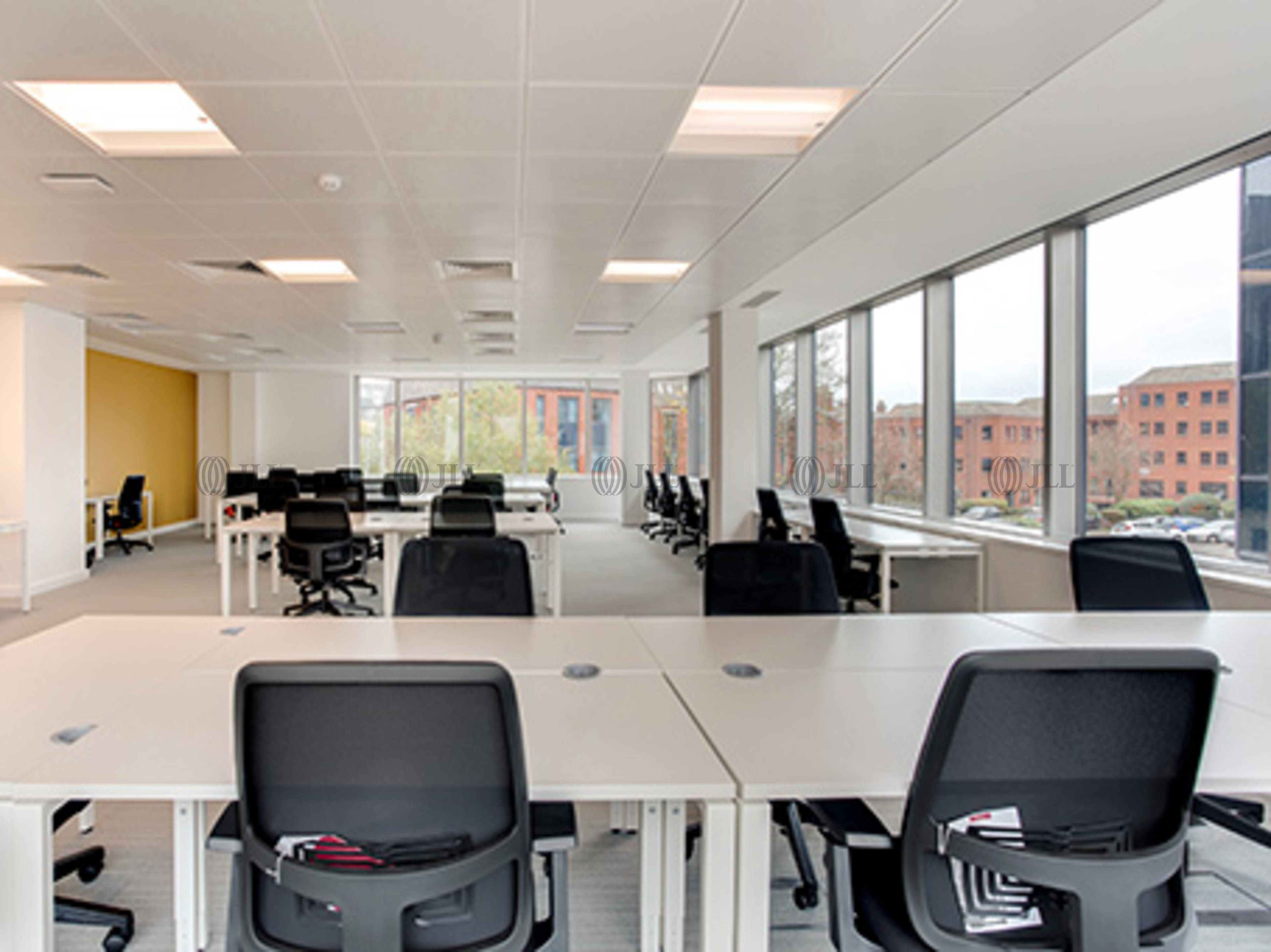 Modern virtual office space with large windows, perfect for workshops and team brainstorming.