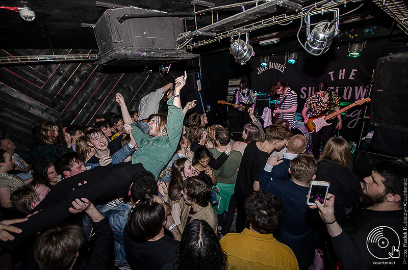 Vibrant live music event at Basement Bar, packed crowd enjoying an intimate atmosphere.