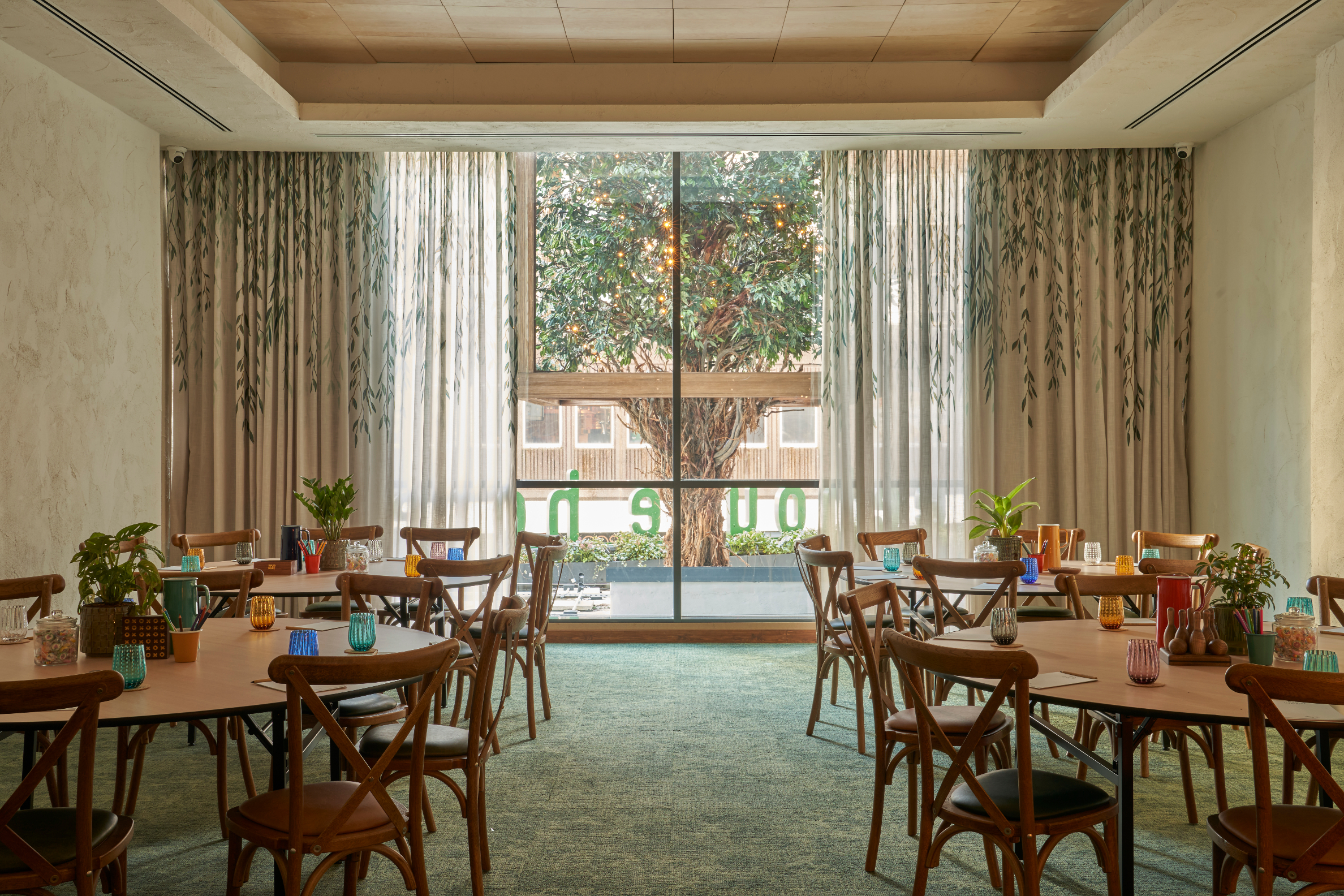 Cedar - wpwgw2sonoa.jpg